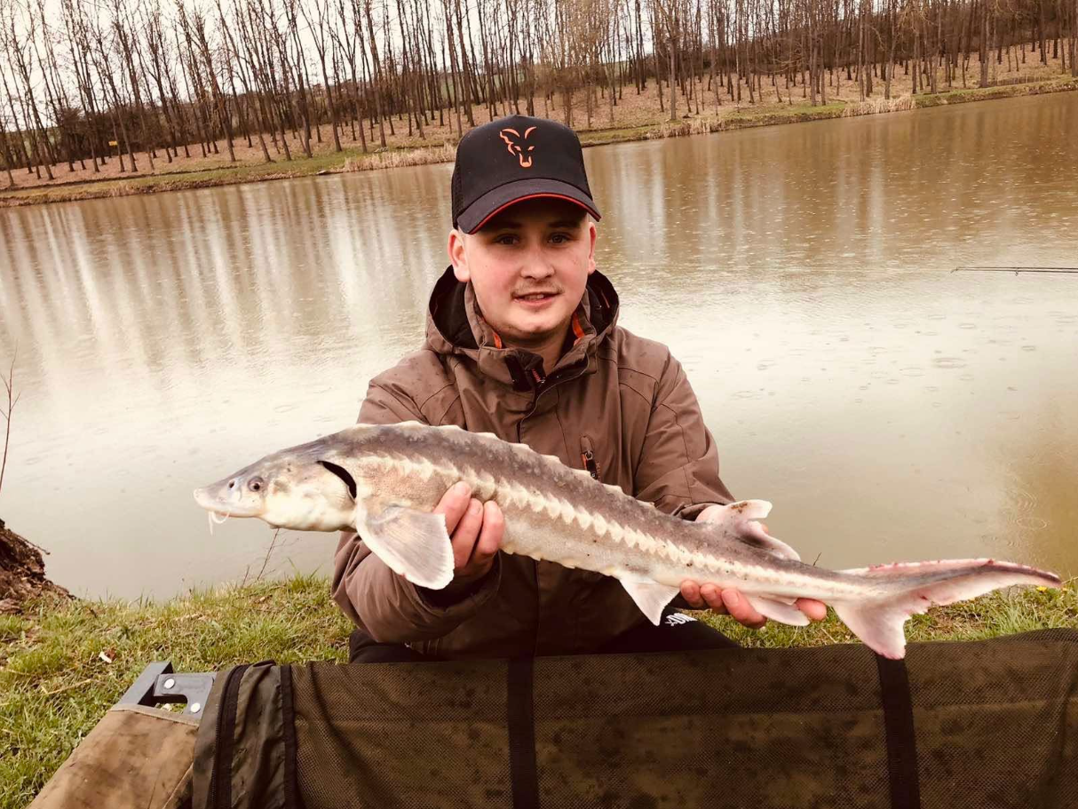 Tok fogás 1